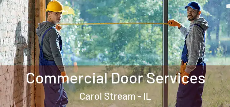 Commercial Door Services Carol Stream - IL