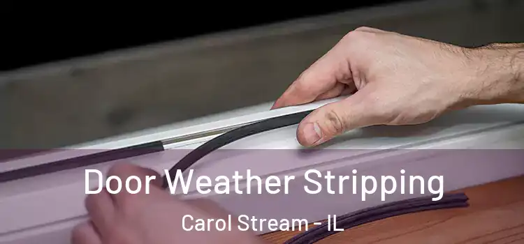 Door Weather Stripping Carol Stream - IL