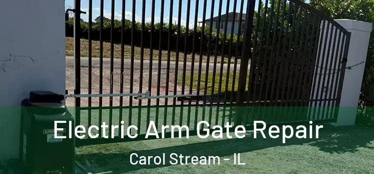 Electric Arm Gate Repair Carol Stream - IL