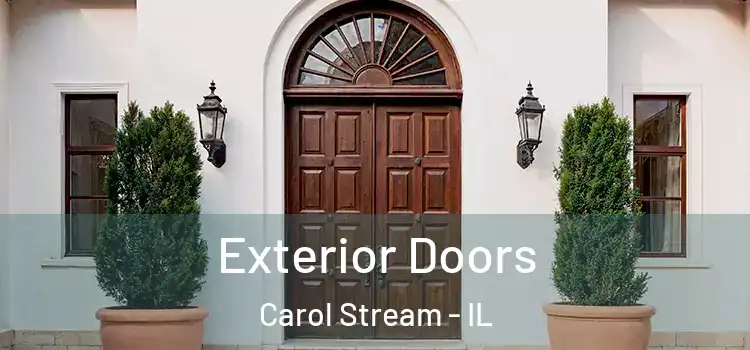 Exterior Doors Carol Stream - IL