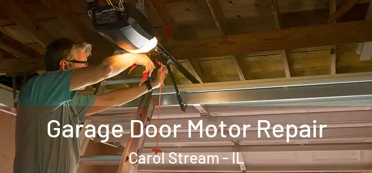  Garage Door Motor Repair Carol Stream - IL