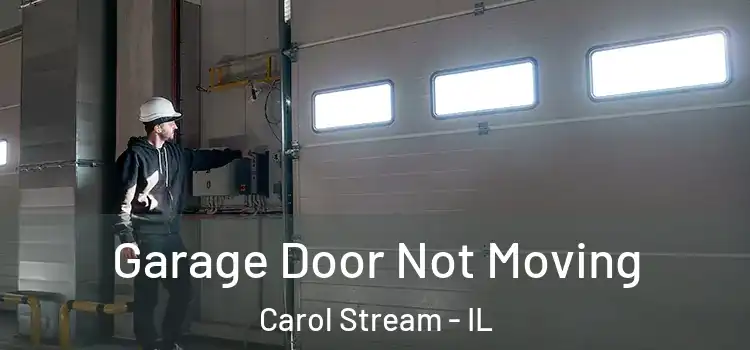  Garage Door Not Moving Carol Stream - IL