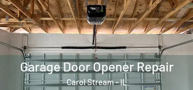  Garage Door Opener Repair Carol Stream - IL