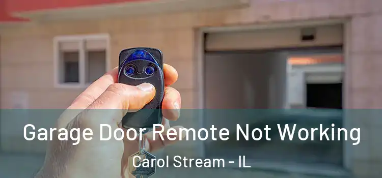  Garage Door Remote Not Working Carol Stream - IL
