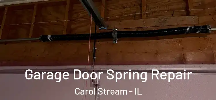  Garage Door Spring Repair Carol Stream - IL