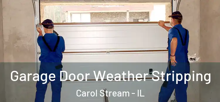  Garage Door Weather Stripping Carol Stream - IL