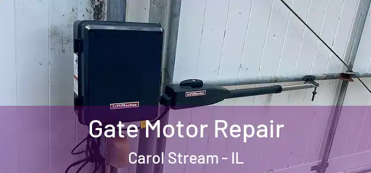 Gate Motor Repair Carol Stream - IL