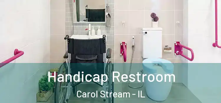 Handicap Restroom Carol Stream - IL