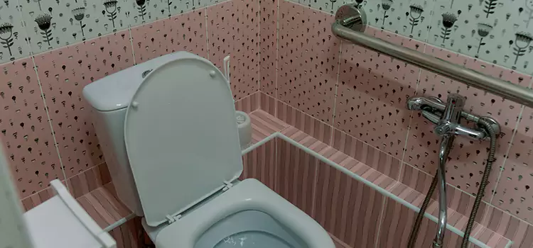 Meeting Diverse Needs With Accessible Restroom Solutions in Carol Stream, IL