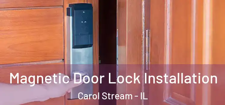  Magnetic Door Lock Installation Carol Stream - IL