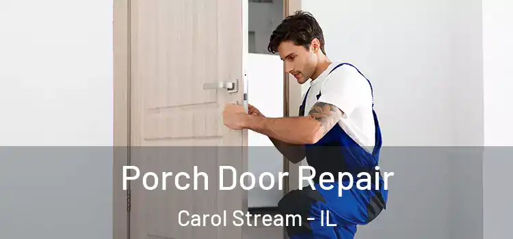 Porch Door Repair Carol Stream - IL