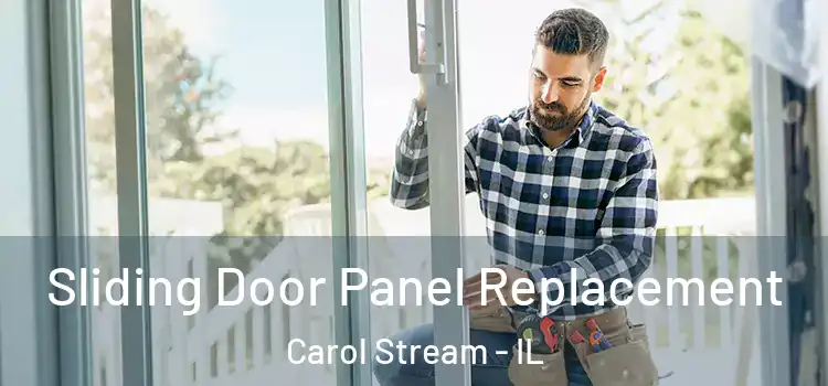  Sliding Door Panel Replacement Carol Stream - IL