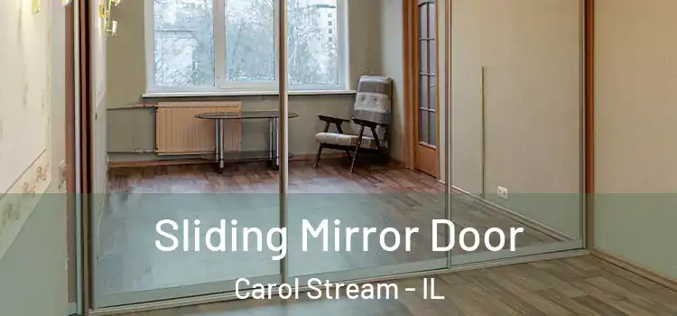  Sliding Mirror Door Carol Stream - IL